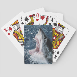 Jeu De Cartes Tête de grand requin blanc