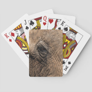 Jeu De Cartes Tête d'un éléphant