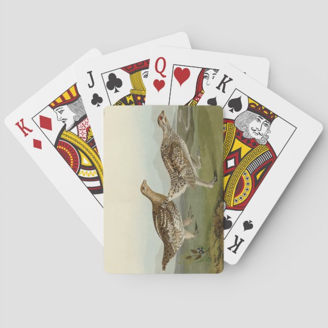 Jeu De Cartes Tétras à queue fine - Audubon's Birds of America (dos)