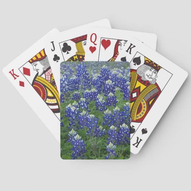 Jeu De Cartes Texas Bluebonnets Field Photo (dos)