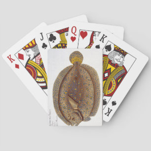 Jeu De Cartes The Argus Flounder (Pleuronectes Argus) plate XLVI