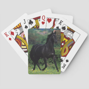 Jeu De Cartes Thoroughbred Horses