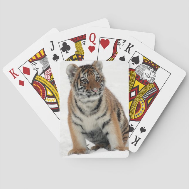 Jeu De Cartes Tiger Cub in the Snow Photograph (dos)