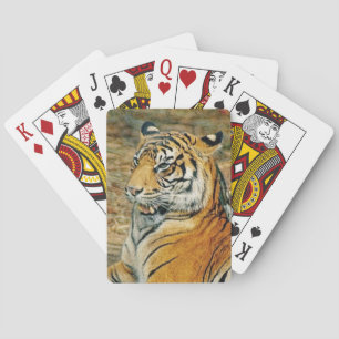 Jeu De Cartes Tigre