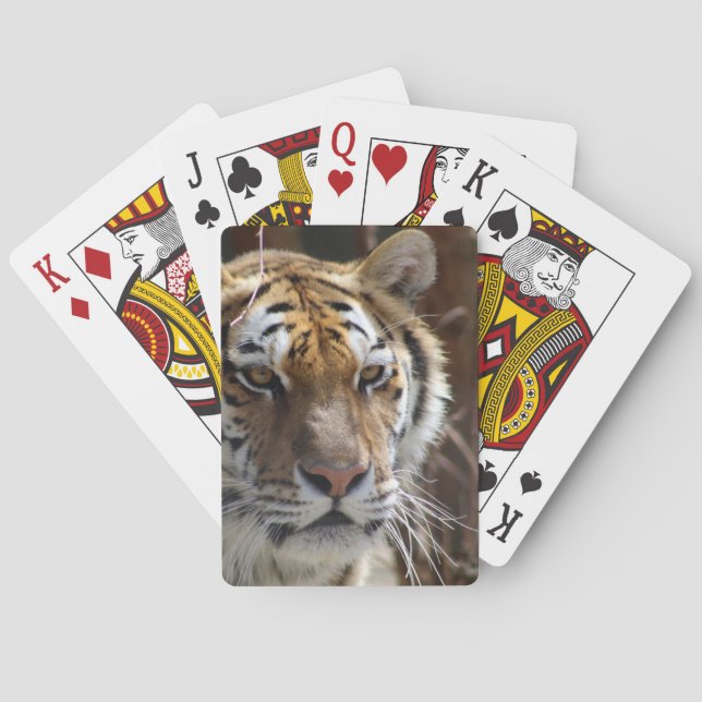 Jeu De Cartes Tigre (dos)