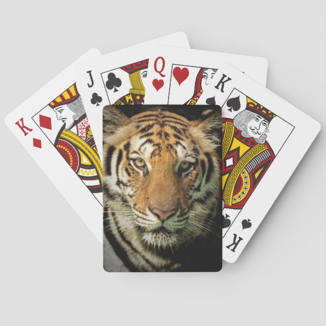 Jeu De Cartes tigre (dos)