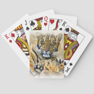 Jeu De Cartes Tigre,À la recherche_