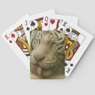 Jeu De Cartes Tigre blanc dans le rituel de toilettage privé