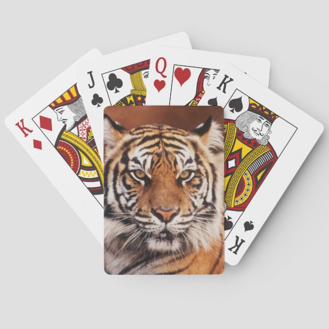 Jeu De Cartes Tigre de Sumatra (dos)