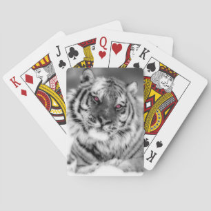 Jeu De Cartes Tigre observé par rose