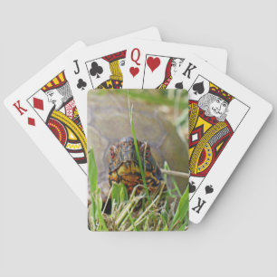 Jeu De Cartes Tortue