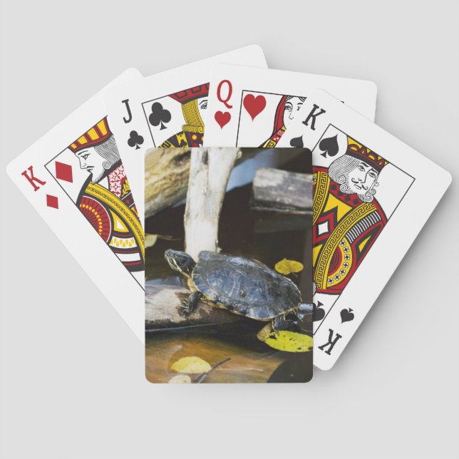 Jeu De Cartes Tortue de glisseur d'étang dans le sauvage (dos)