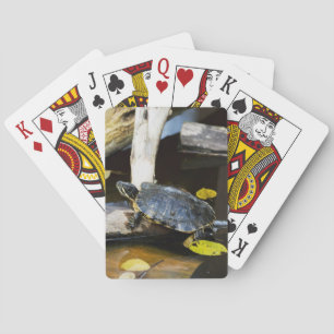 Jeu De Cartes Tortue de l'étang dans la nature