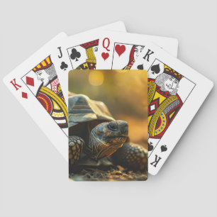 Jeu De Cartes Tortue en pleine nature