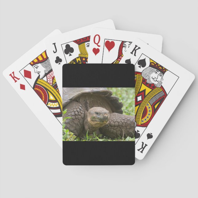 Jeu De Cartes Tortue géante (dos)