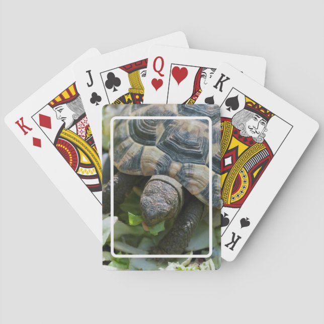 Jeu De Cartes Tortue mignonne (dos)