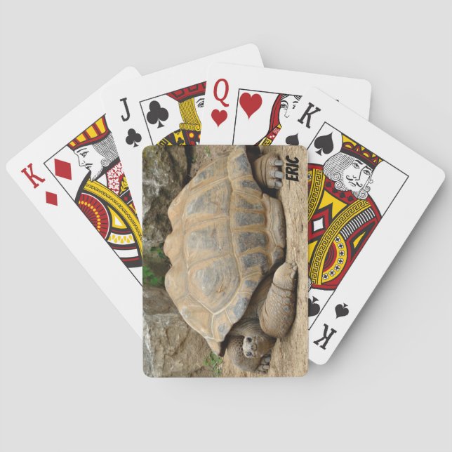 Jeu De Cartes Tortue souriante  (dos)