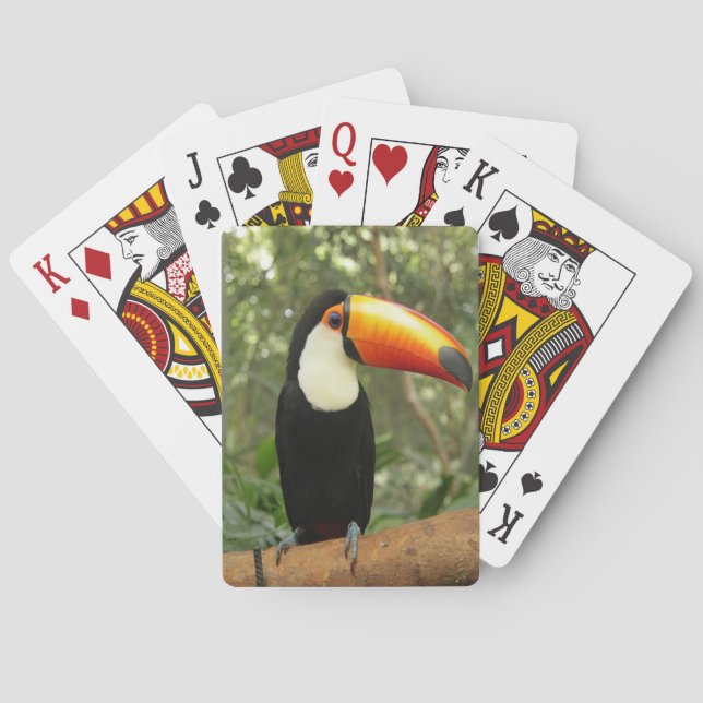 Jeu De Cartes Toucan sur branche d'arbre (dos)