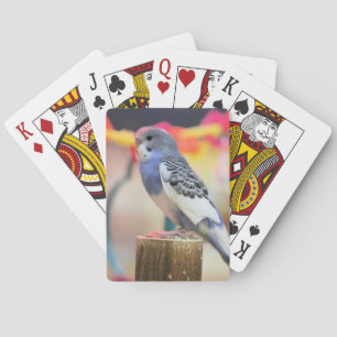 Jeu De Cartes Touche