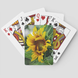 Jeu De Cartes Tournesol