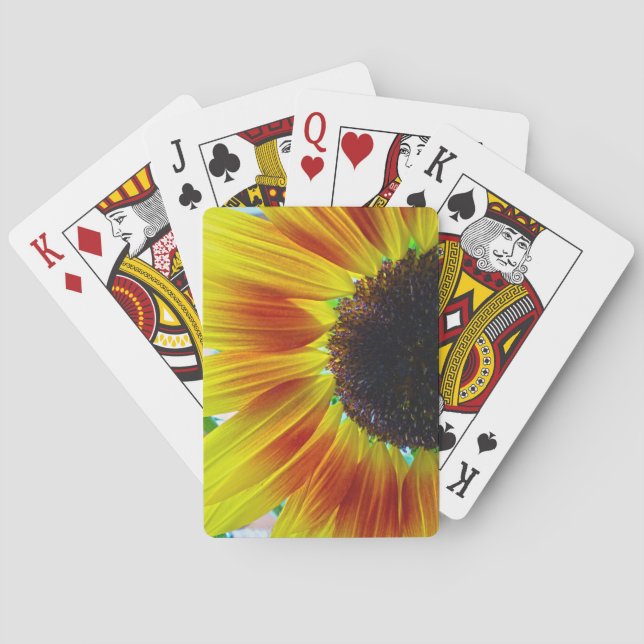Jeu De Cartes Tournesol (dos)