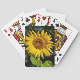 Jeu De Cartes Tournesol