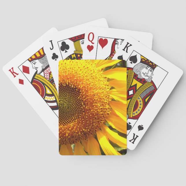 Jeu De Cartes Tournesol de mammouth jaune géant (dos)