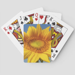 Jeu De Cartes Tournesol jaune