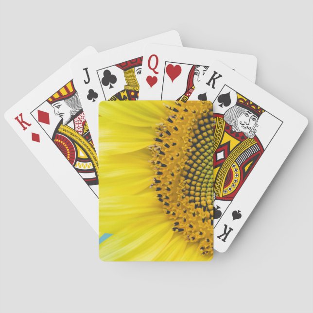 Jeu De Cartes Tournesol lumineux (dos)