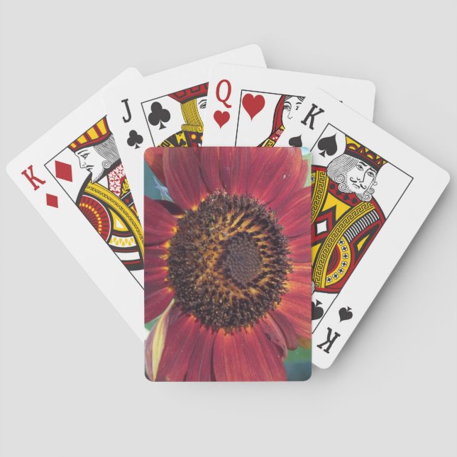 Jeu De Cartes Tournesol rouge (dos)