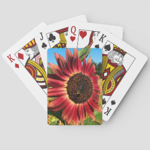 Jeu De Cartes Tournesol rouge avec abeille