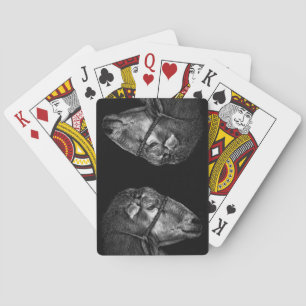 Jeu De Cartes tout de suite