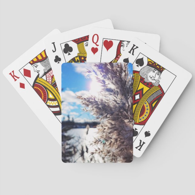 Jeu De Cartes Tout simplement beau 1 (dos)