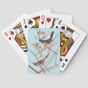 Jeu De Cartes Towee Bunting Audubon Black and Orange Song Birds