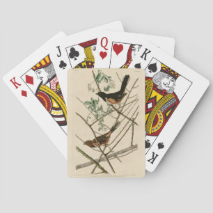 Jeu De Cartes Towee Bunting (Eastern Towee) des oiseaux d'Audubo
