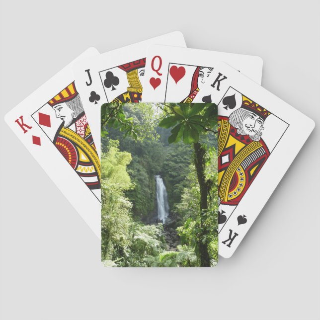 Jeu De Cartes Trafalgar Falls Tropical Rainforest Photographie (dos)