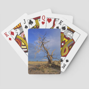 Jeu De Cartes Tree