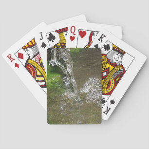 Jeu De Cartes Trickling Cascade Bubbling Water Playards
