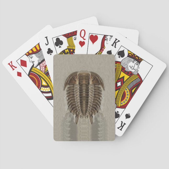 Jeu De Cartes Trilobite Fossil Jouer Cartes (dos)