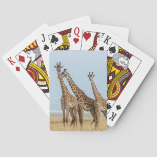 Jeu De Cartes Trois girafes posant