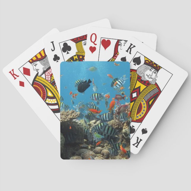 Jeu De Cartes Tropical Fish Chaos (dos)