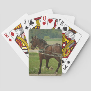 Jeu De Cartes Trot à la maison