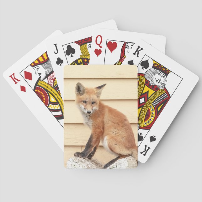 Jeu De Cartes Trousse Red Fox dans la vallée de l'Hudson (dos)