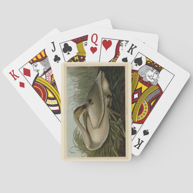 Jeu De Cartes Trumpeter Swan (dos)