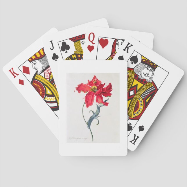 Jeu De Cartes Tulip Perroquet rouge (dos)