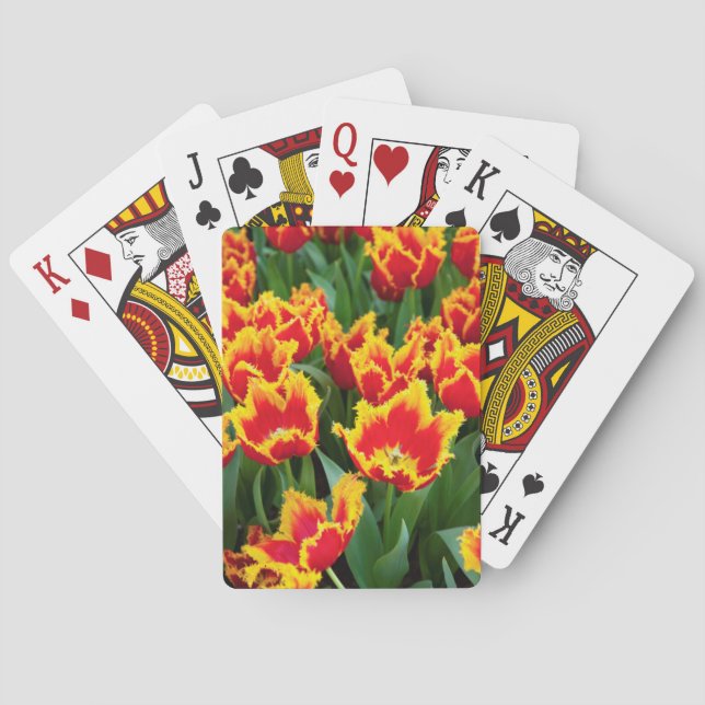 Jeu De Cartes Tulipa Fabio, Keukenhof, Pays-Bas (dos)