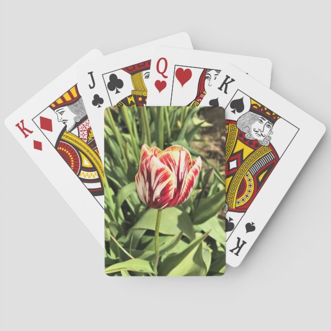 Jeu De Cartes Tulipe rouge et blanche (dos)