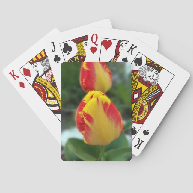 Jeu De Cartes tulipe rouge jaune (dos)