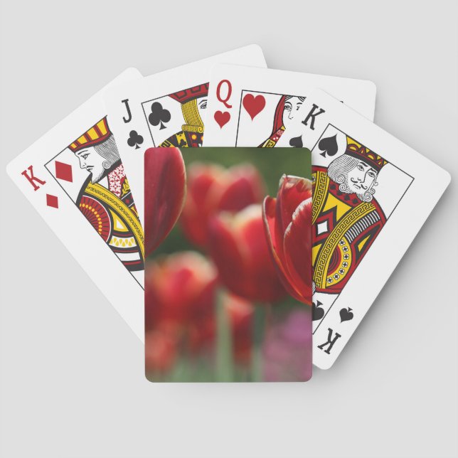 Jeu De Cartes Tulipes (dos)