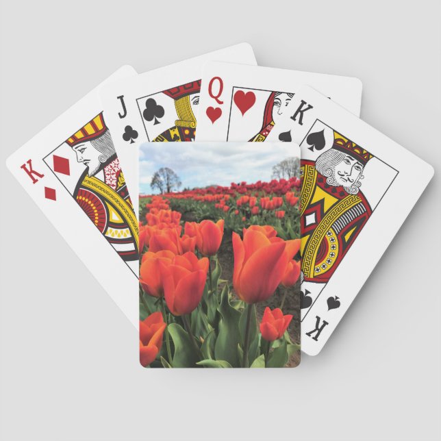 Jeu De Cartes Tulips orange à Field, Oregon (dos)